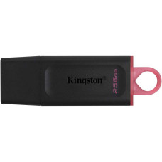 Накопитель USB Kingston DTX/256GB [DTX/256GB]
