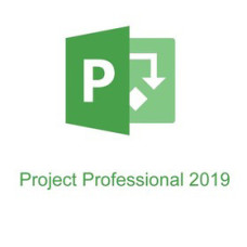 Microsoft Project Professional 2019 [H30-05756]