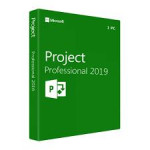 Microsoft Project Pro 2019