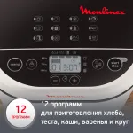 Хлебопечка MOULINEX OW2101 Pain Dore