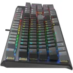 Игровая клавиатура A4Tech Fstyler FS100 Neon ( механическая, 104кл)