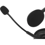 Гарнитура Logitech Stereo Headset H110 (оголовье, 3.5 мм, 1.8м, накладные, 2 x mini jack 3.5 mm)