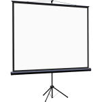 Экран Lumien Eco View LEV-100111 (напольный, 97