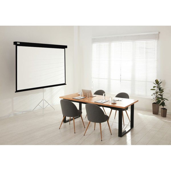 Экран Cactus Wallscreen CS-PSW-104X186-BK (настенно-потолочный, 84