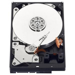 Жесткий диск HDD 500Гб Western Digital (150/150 Мб/с, SATA 3Гбит/с, 32Мб, 7200об/мин)