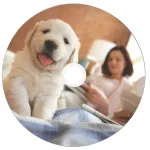 Диск CD-R Verbatim (0.68359375Гб, 52x, cake box, 50, Printable)