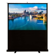 Экран Cactus FloorCompactExpert CS-PSFLCE-160X120 (напольный, 79
