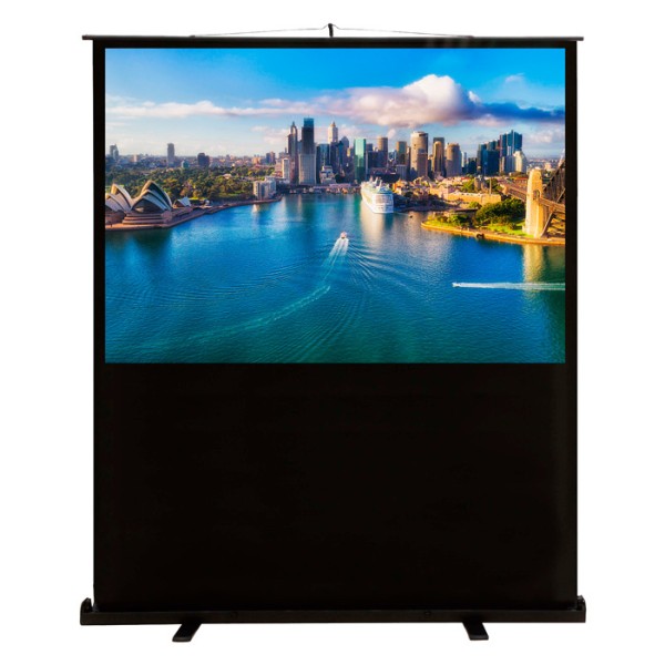 Экран Cactus FloorCompactExpert CS-PSFLCE-160X120 (напольный, 79