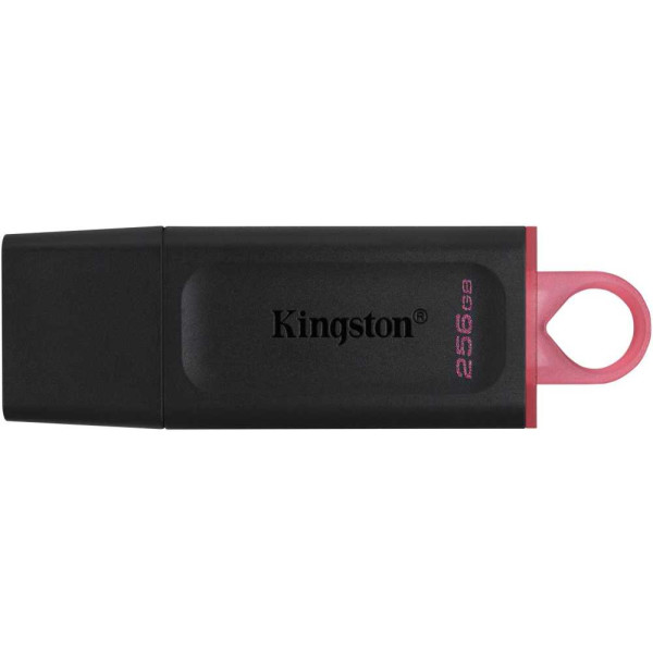 Накопитель USB Kingston DTX/256GB