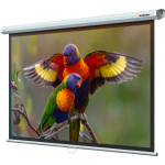 Экран Lumien Eco Picture LEP-100113 (настенно-потолочный, 97