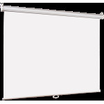 Экран Lumien Eco Picture LEP-100108 (настенно-потолочный, 97