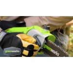 Greenworks G24PS20