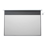 Экран Lumien Master Control LMC-100216 (настенно-потолочный, 131