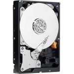 Western Digital