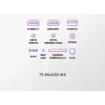 LED-телевизор Haier MiniLED M4 (75