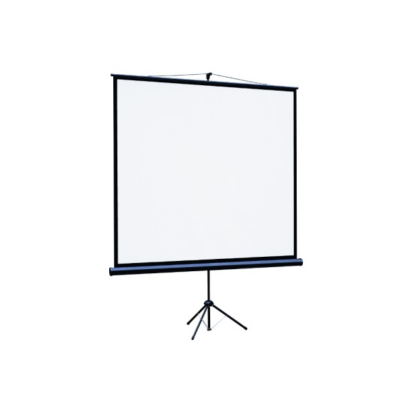 Экран Lumien Eco View LEV-100112 (напольный, 116