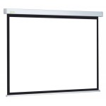 Экран Cactus Wallscreen CS-PSW-128x170 (настенно-потолочный, 84