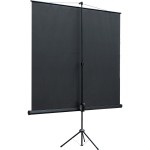 Экран Lumien Eco View LEV-100102 (напольный, 100