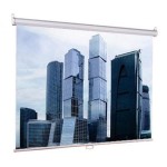 Экран Lumien Eco Picture LEP-100102 (настенно-потолочный, 100