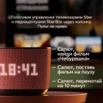 Портативная акустика Sber Boom Home