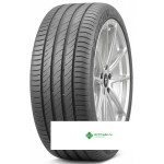 Шина Delinte DS2 245/45 R18 100W летняя (Extra Load)