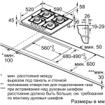 Bosch PNK6B6P40R