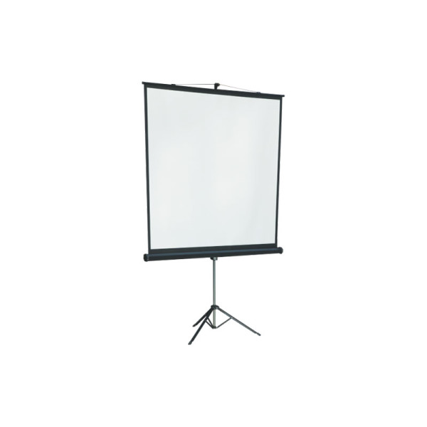 Экран Lumien Master View LMV-100106 (переносной, 81