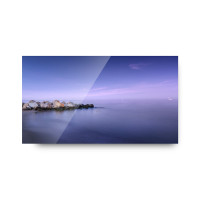 Панель Goodview PD55N10 (55