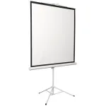 Экран Digis Kontur-D DSKD-1108 (напольный, 135