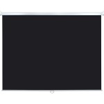Экран Lumien Eco Picture LEP-100103 (настенно-потолочный, 111