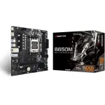Материнская плата Biostar B650MS2-E (x)