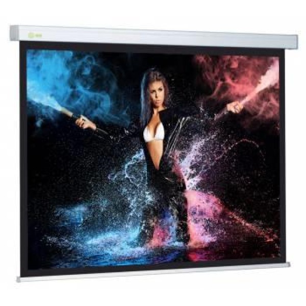 Экран Cactus Wallscreen CS-PSW-168x299 (настенно-потолочный, 135