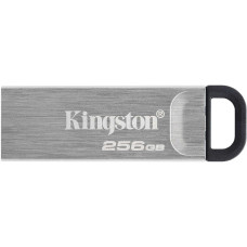 Накопитель USB Kingston DTKN/256GB [DTKN/256GB]
