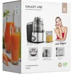 Соковыжималка Galaxy Line GL 0810