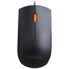 Lenovo 300 [GX30M39704]
