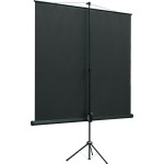 Экран Lumien Eco View LEV-100108 (напольный, 109