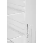 Холодильник Indesit ES 18 GA (A, 2-камерный, серебристый)