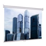 Экран Lumien Eco Picture LEP-100105 (настенно-потолочный, 89