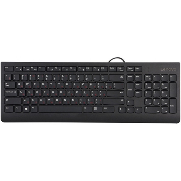 Lenovo 300 GX30M39684 Black USB (104кл)