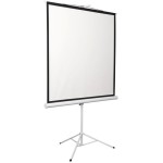 Экран Digis Kontur-D DSKD-4303 (напольный, 100
