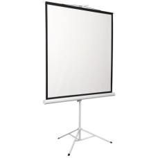 Экран Digis Kontur-D DSKD-4303 (напольный, 100