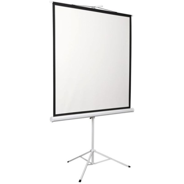 Экран Digis Kontur-D DSKD-4303 (напольный, 100