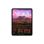 Планшет Apple iPad Pro 2024 A2836(11
