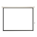 Экран Lumien Eco Control LEC-100102 (настенно-потолочный, 110