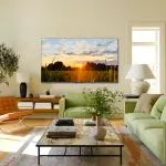 OLED-телевизор Skyworth 55X85G (55