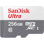 Карта памяти microSDXC 256Гб SanDisk (Class 10, без адаптера)