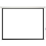 Экран Lumien Eco Control LEC-100107 (настенно-потолочный, 116