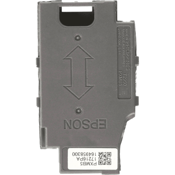 Epson C13T295000