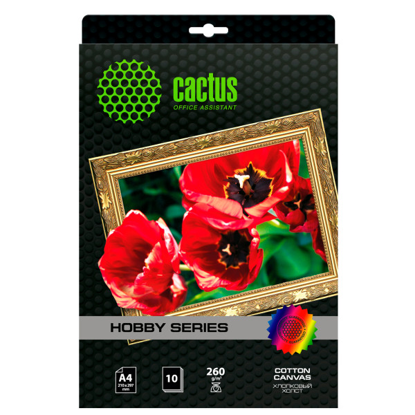 Холст Cactus CS-СA426010 (A4, 260г/м2, для струйной печати, односторонняя, 10л)