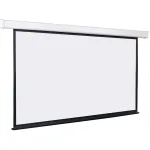 Экран Lumien Master Control LMC-100135 (настенно-потолочный, Matte White FiberGlass, 16:9, 358x201см)